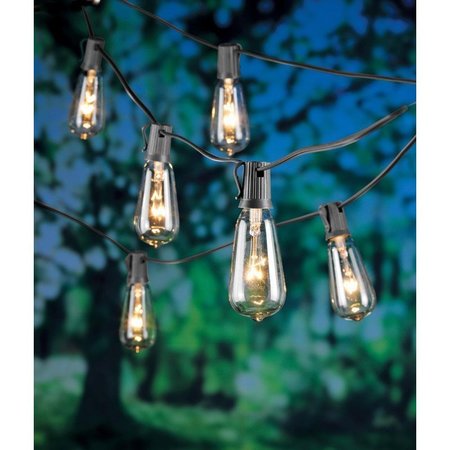 LIVING ACCENTS Inc Light Edison Clr10Ct 87385-71